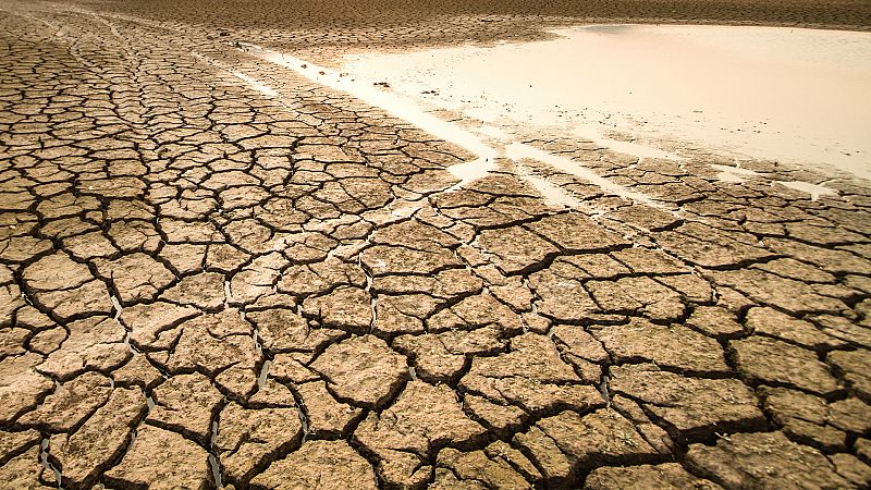 La sed de Doñana: "Hay que adaptarse al cambio climático que ya estamos viviendo"