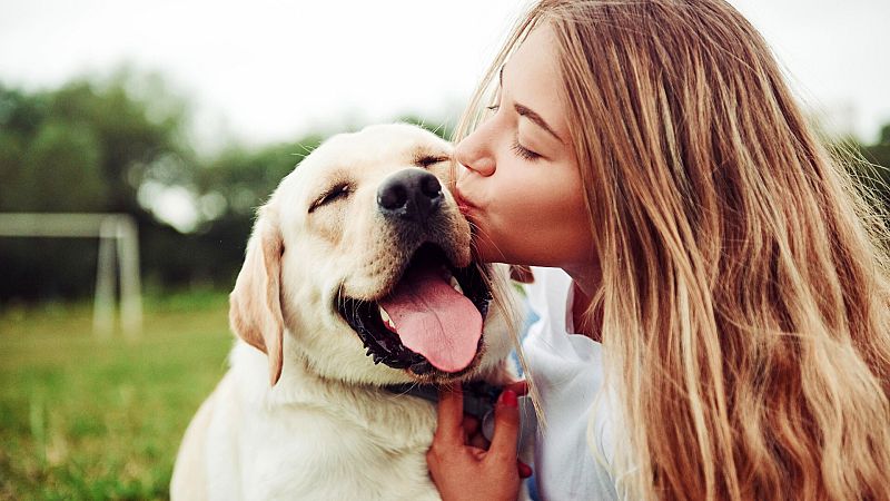 ¿Cómo superar el dolor emocional por la pérdida de un animal querido?