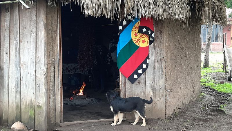 Mapuche, una historia de resistencia y rebeldía