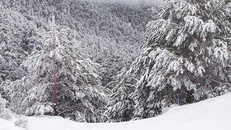 La lluvia, el viento y la nieve activan la alerta amarilla en diez comunidades