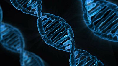 Descubren la variante genética de la delgadez