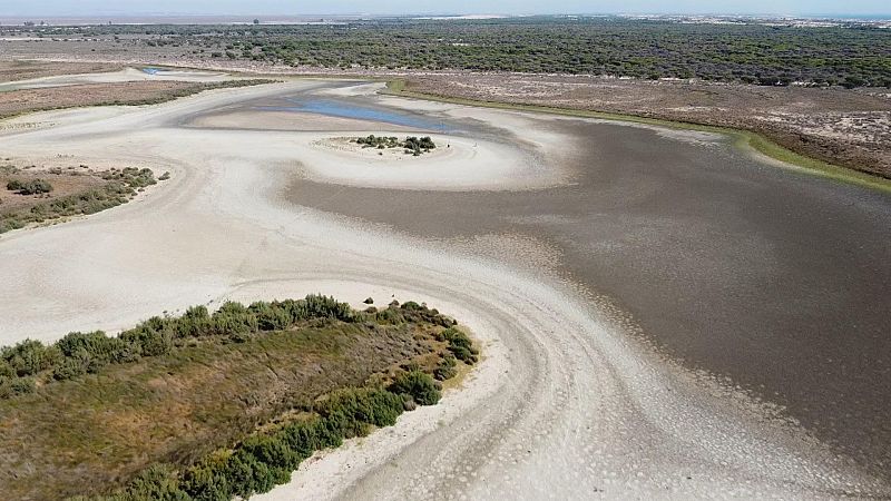 Doñana se asfixia; la agonia del acuífero 27