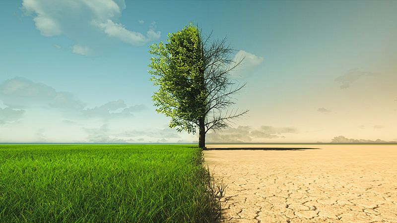La OCDE advierte de los riesgos climáticos si no se limita el aumento de la temperatura global a 1,5 ºC