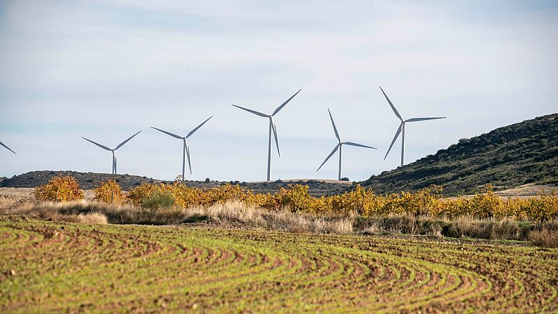 Renovables sí, ¿pero así?: el ecologismo se divide entre acelerar o frenar las grandes plantas solares y eólicas