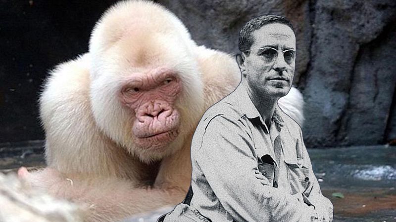 Copito de nieve dio fama mundial a Jordi Sabater Pi, pero también le arruinó su vida