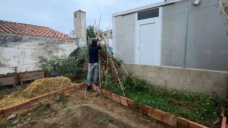 Com preparar l'hort per suportar el fred?