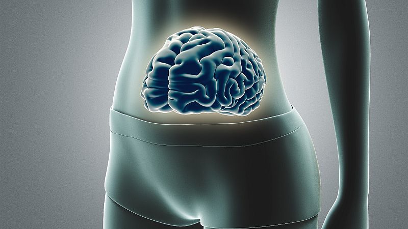 ¿Lo que pensamos y sentimos afecta a la microbiota?