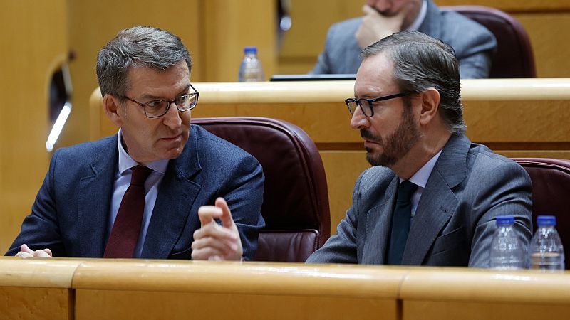 El PP amplía su recurso ante el TC y pide suspender la tramitación de la reforma del Código Penal en el Senado