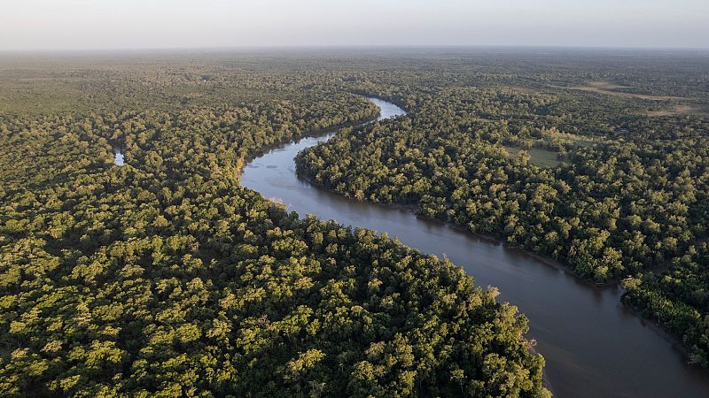 Acuerdo histórico de casi 200 países para salvar la biodiversidad y proteger el 30% del planeta de aquí a 2030
