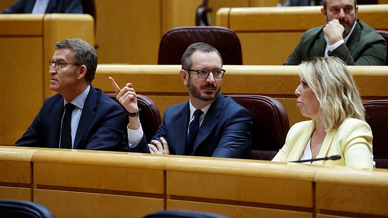 El PP contempla acciones legales para "defender la independencia" del TC ante la elección de Campo y Díez