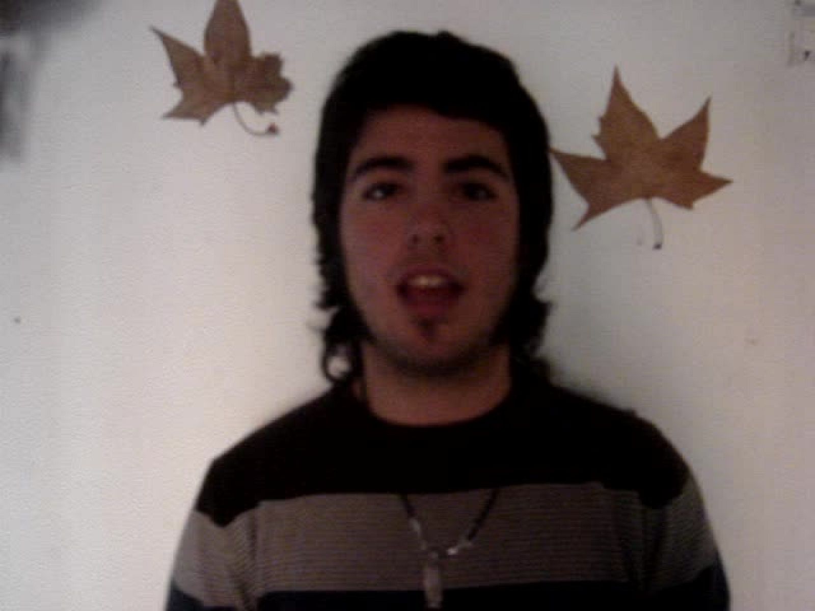 Pregunta sobre el Plan Bolonia 8. Convergencia de grados y posgrados.