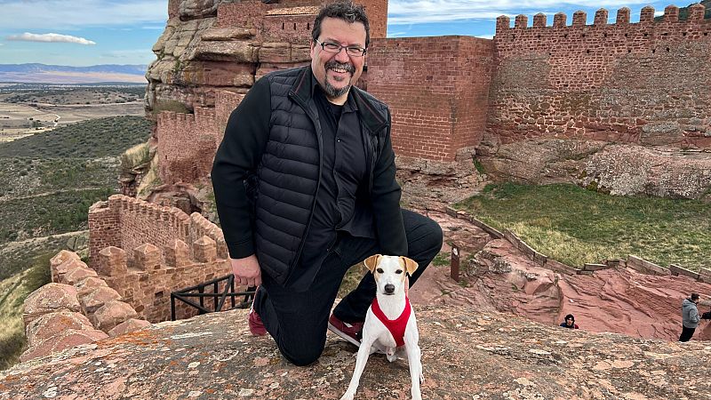 5 castillos españoles para visitar con tu perro
