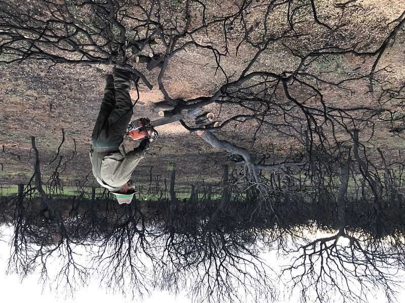 El abandono rural, la mecha que encendió Zamora