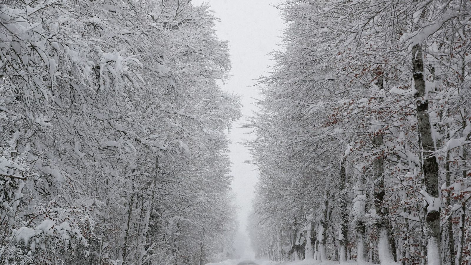 La huella del temporal: fuertes nevadas, inundaciones, cortes de carreteras y cancelaciones de clases - Ver ahora