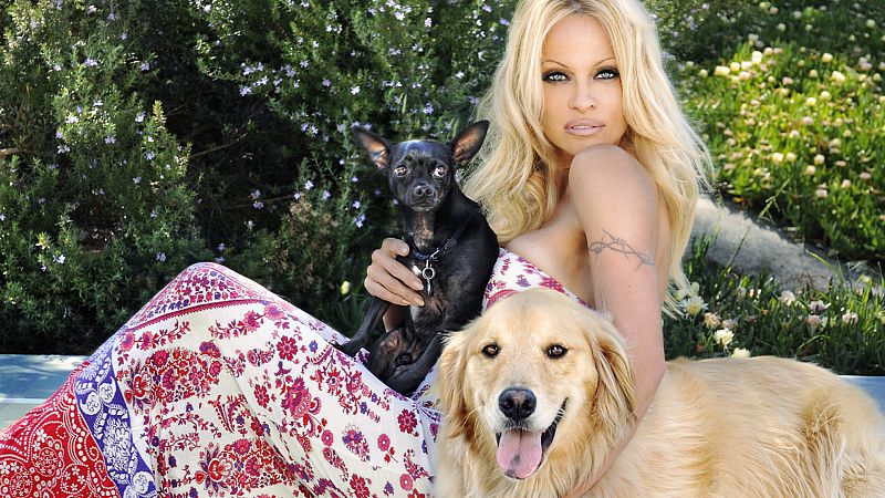 La conversión de Pamela Anderson: así pasó de sex symbol a defensora de los animales