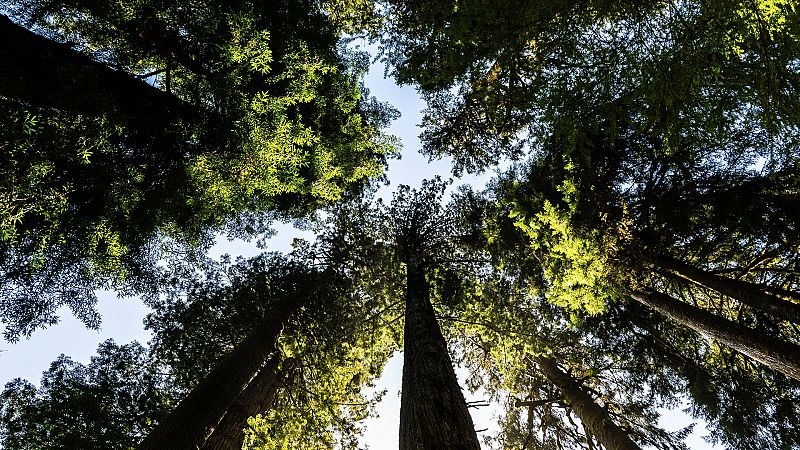 Cinco libros que hablan del cambio climático