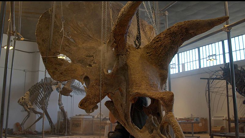 'Coleccionistas: nuevos objetos de deseo', en 'La noche temática'