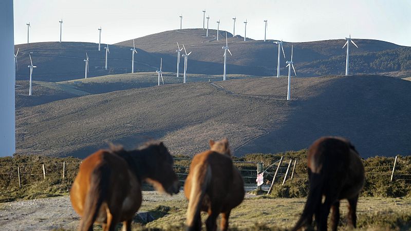 'Bestas' y molinos en Galicia: el discurso de Sorogoyen en los Goya reaviva el debate sobre las renovables