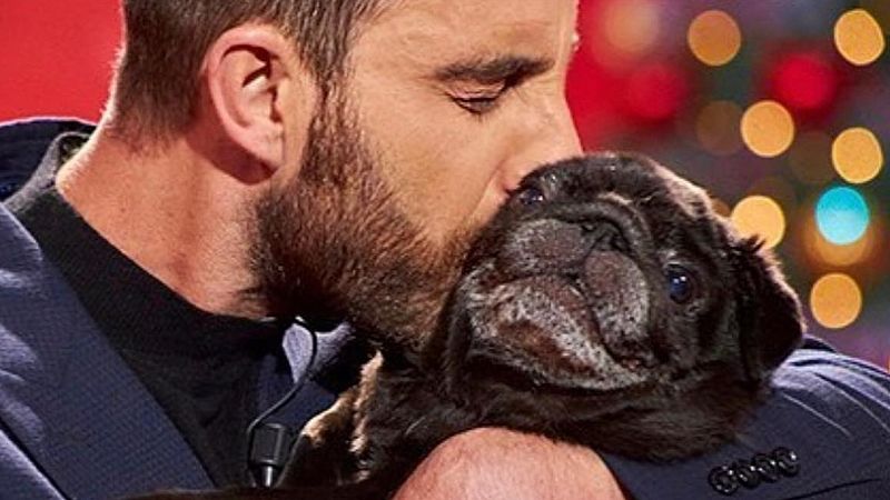 Dani Rovira, roto de dolor, se despide de su perra Carapapa: "Duele tanto que no hay consuelo"