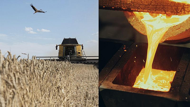 'La noche temática' estrena 'Trigo y oro, las armas de la guerra' un año después de la invasión de Ucrania