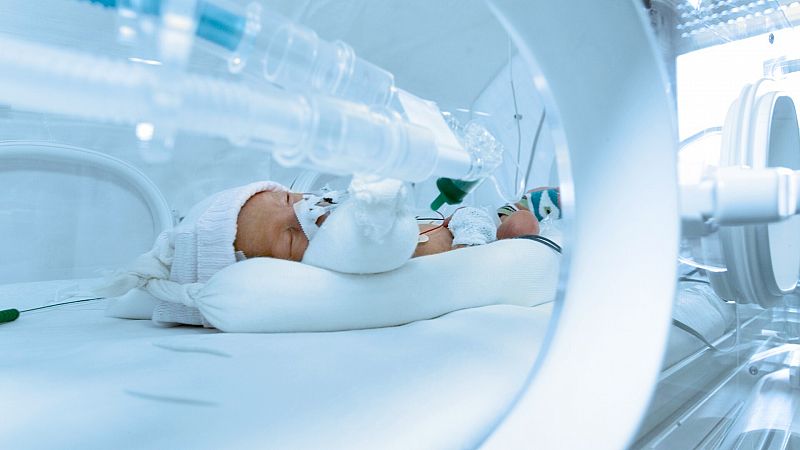 Trasplantan por primera vez en España tejido perinatal obtenido de un bebé que murió en el útero