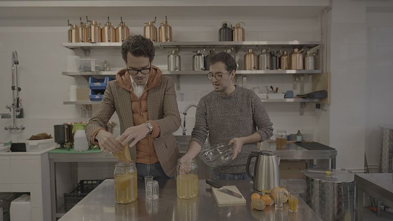 Descobreix el té de kombutxa, què és i com el pots preparar a casa