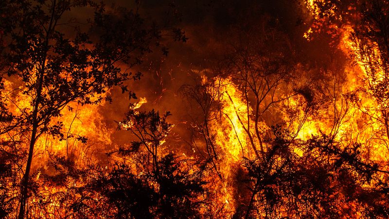 Las partículas de humo de los incendios pueden erosionar la capa de ozono, según una investigación