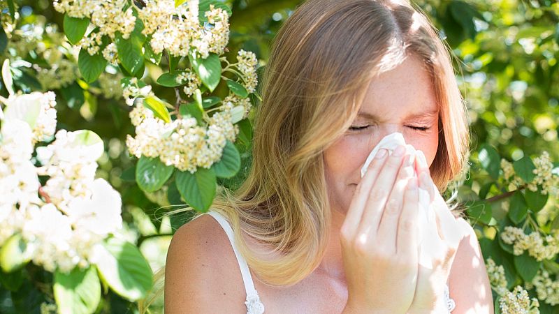 Alergias prematuras: los expertos advierten de que la subida de temperaturas acelera la polinización