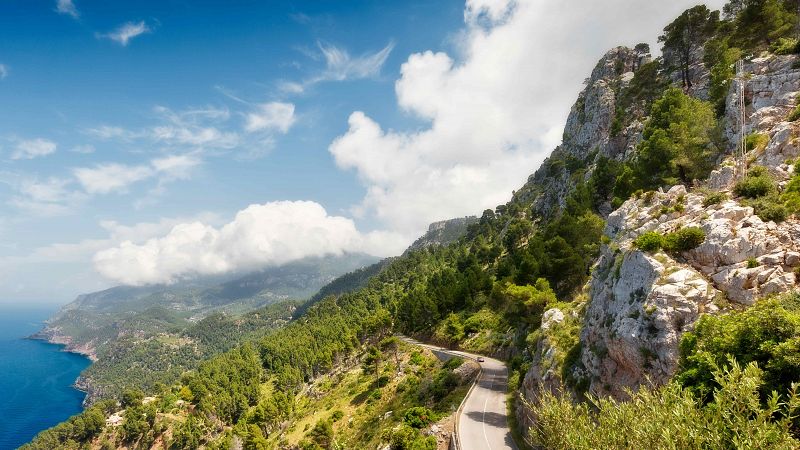 Mallorca, el hogar de la larva fósil del mosquito más antiguo del planeta