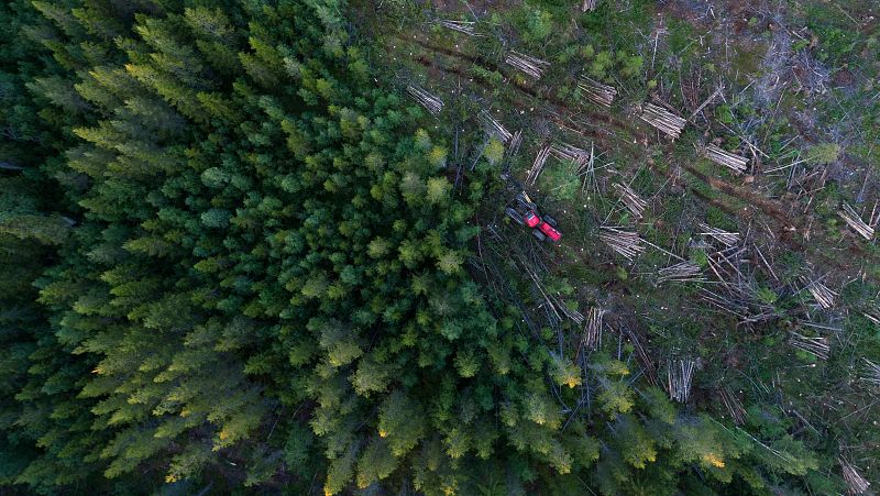 Las principales ONG ecologistas creen que el acuerdo UE-Mercosur "aumentará la deforestación"