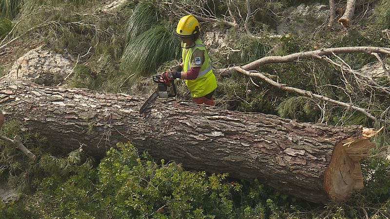 Ms ajudes del Consell de Mallorca per a palliar els efectes de 'Juliette'