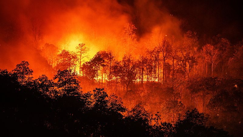 Un incendio forestal en Calafell confina a los vecinos de dos urbanizaciones y calcina 20 hectáreas