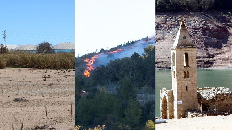 Incendis, sequera i falta d'aigua: combinació fatal