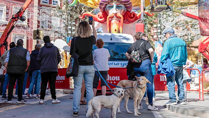 Las residencias caninas se llenan en Fallas: "Son días con ruido constante y algunos perros pasan mucho miedo"