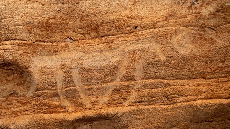 Hallados más de 100 grabados prehistóricos "excepcionales" en una cueva de Tarragona