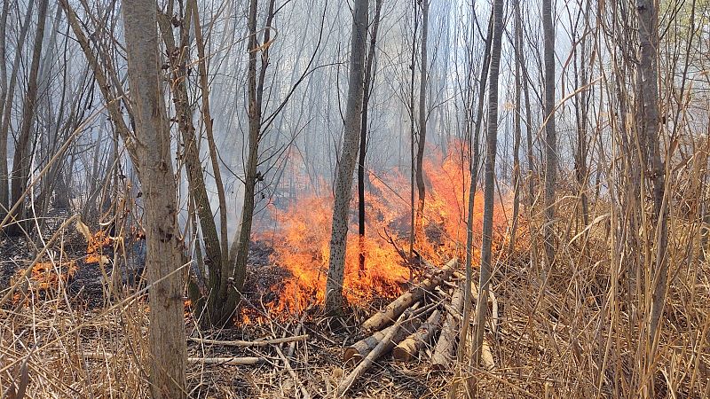 Continua l'alerta per incendis forestals a tot el territori