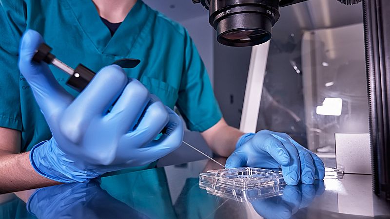 Demandan a un donante de semen en Países Bajos al que se le atribuye el nacimiento de más de 550 hijos