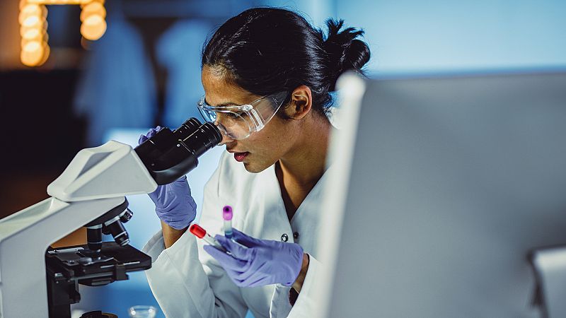 Encuentran una proteína clave para mantener la función antitumoral de los linfocitos en condiciones de estrés celular