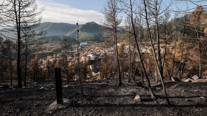 Logran controlar el incendio de Castelln y todos los vecinos evacuados han regresado a sus casas