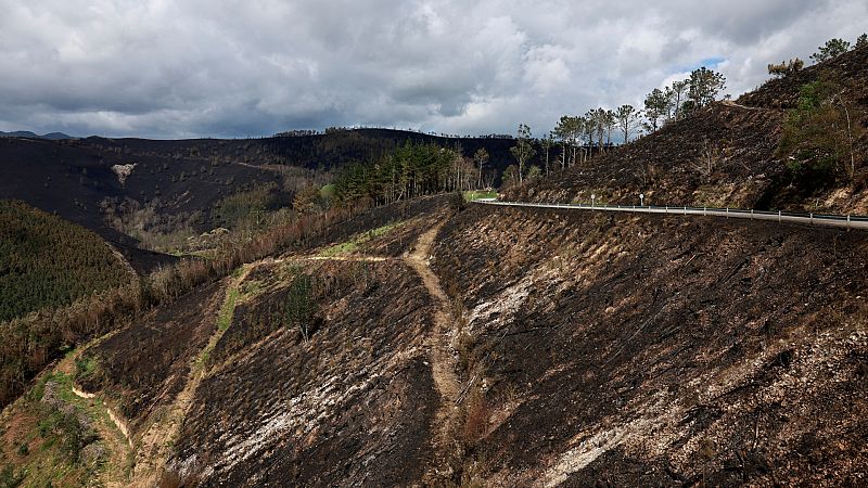 La lluvia ayuda a controlar el fuego en Asturias tras arder 11.000 hectáreas: "Son terroristas medioambientales"