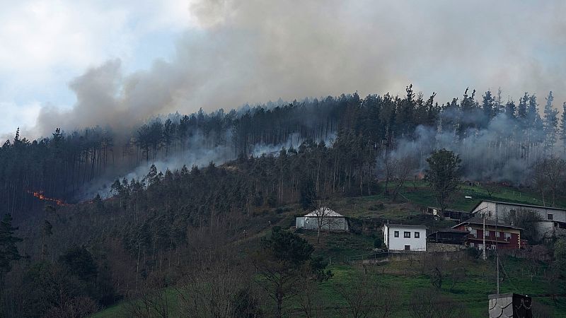 Asturias duplicará a 150 metros la distancia de los pueblos a los bosques para prevenir los incendios