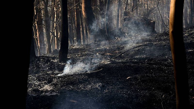 Asturias centra la extinción de incendios en tres de los 43 focos activos
