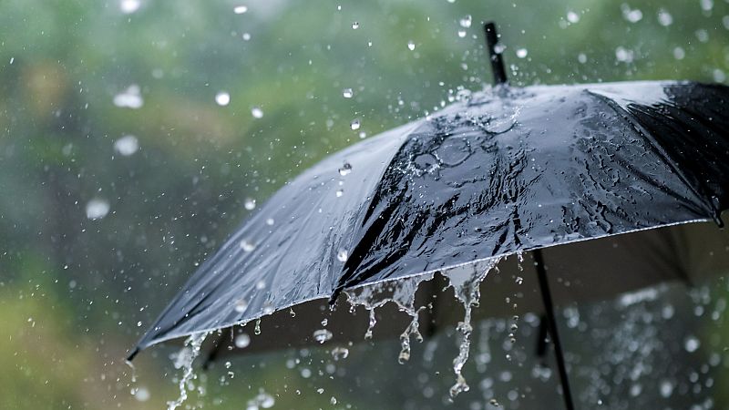 Lo que no sabías de las lluvias: ¡Podrían llover sapos, arañas y hasta peces!