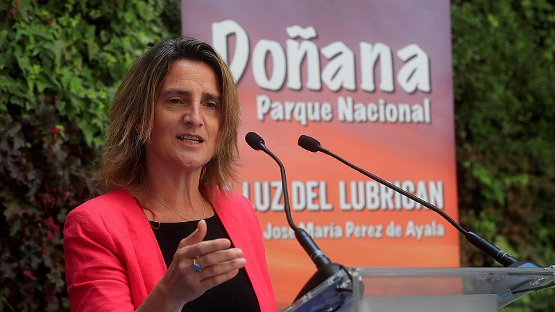 Ribera carga contra Moreno por el regadío de Doñana: "Desde su arrogancia de señorito, está haciendo un daño inmenso"