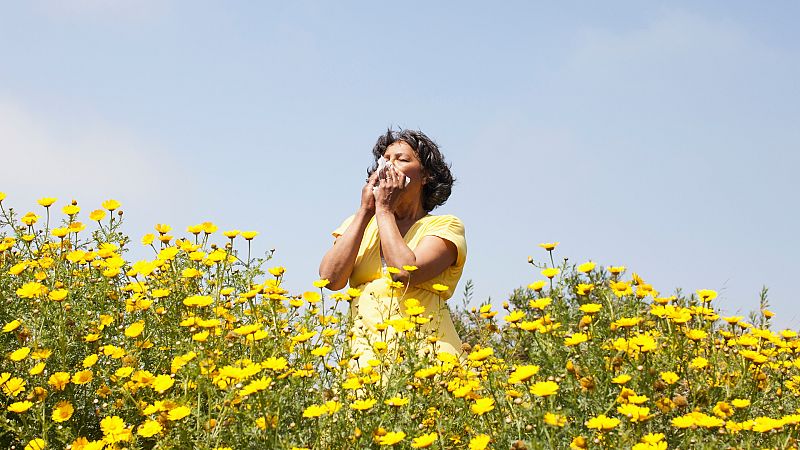 Remedios caseros y naturales para combatir la alergia y los efectos negativos de la primavera