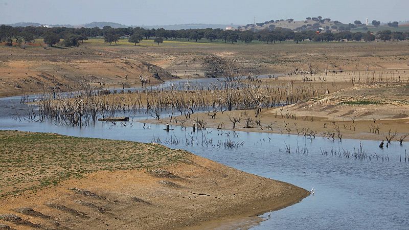 España estudia más ayudas para paliar los efectos de la sequía en el campo y pedirá flexibilidad a Bruselas