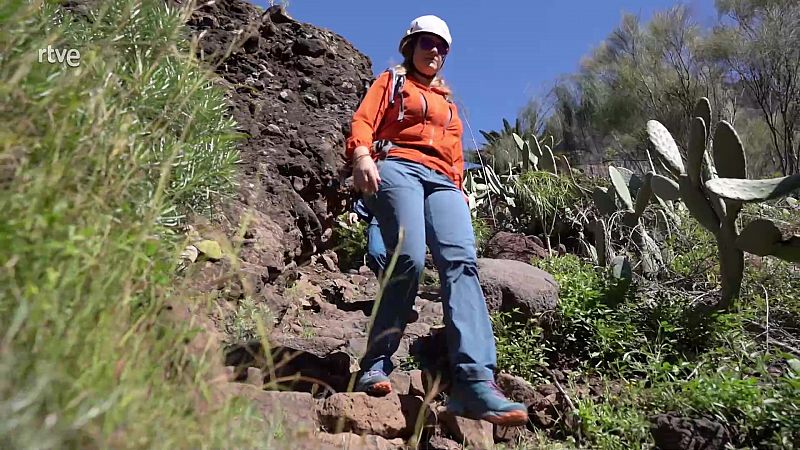 Descubriendo la naturaleza de Tenerife con la silla Jolette: la historia de Isabel Armas y Pichn Trail
