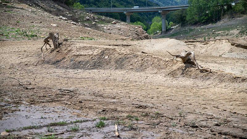 La sequía pasa factura al campo y amenaza con subir más el precio de los alimentos: "Si no llueve, se perderá todo"