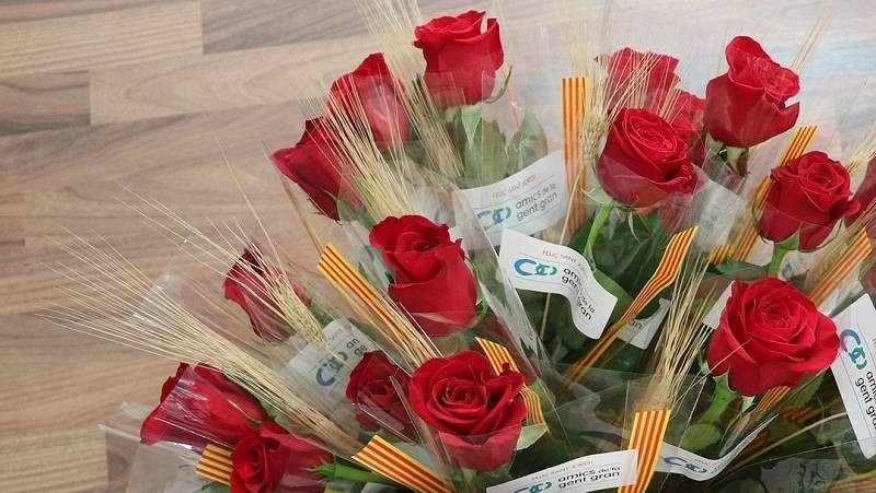 Quines són les activitats solidàries més destacades d'aquest Sant Jordi?