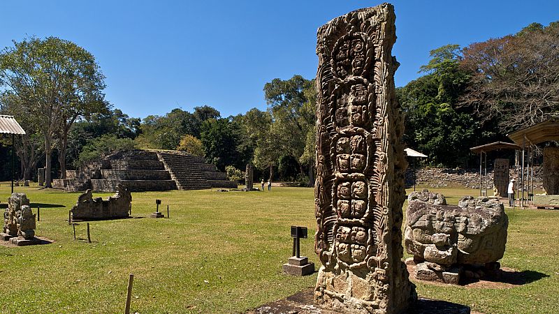 Arqueólogos españoles desvelan el secreto de los antiguos constructores mayas: cemento fabricado con plantas